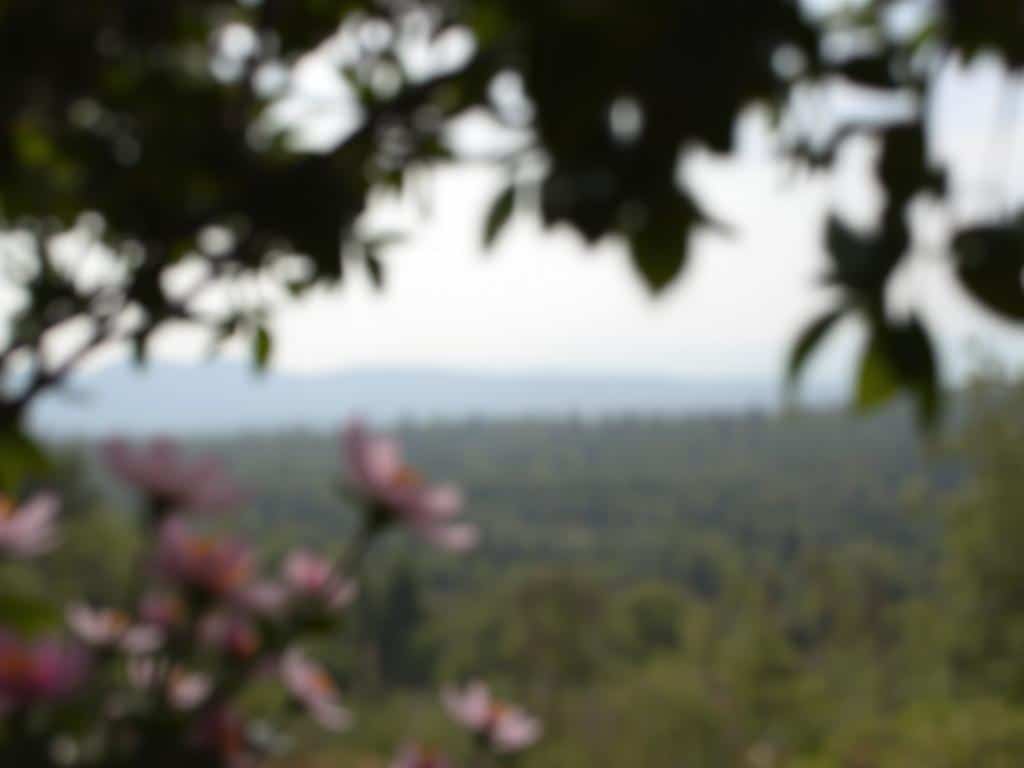 blurry images